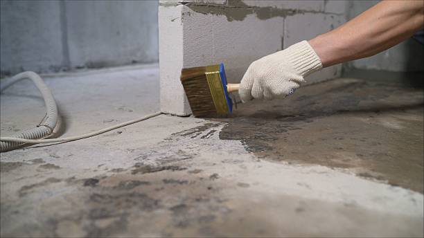 24/7 Emergency Crawl Space Encapsulation experts in Long Branch, VA